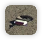 image-20250806181215944